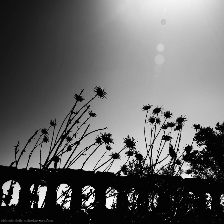 rome 82 by AlexGrifo