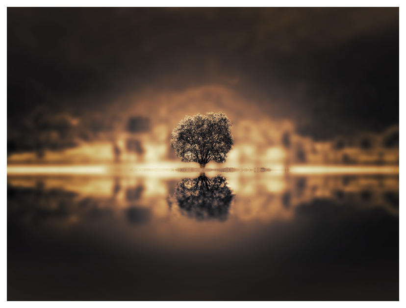 The Fountain by Sortvind
