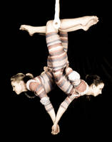 Once Upon a Trapeze by BaileyRose