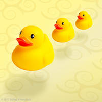 Migration by BaileyRose