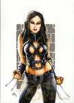 X 23 by PlanetDarkOne