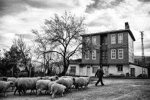 ruzgarln ylrtilan yeri by enderefe