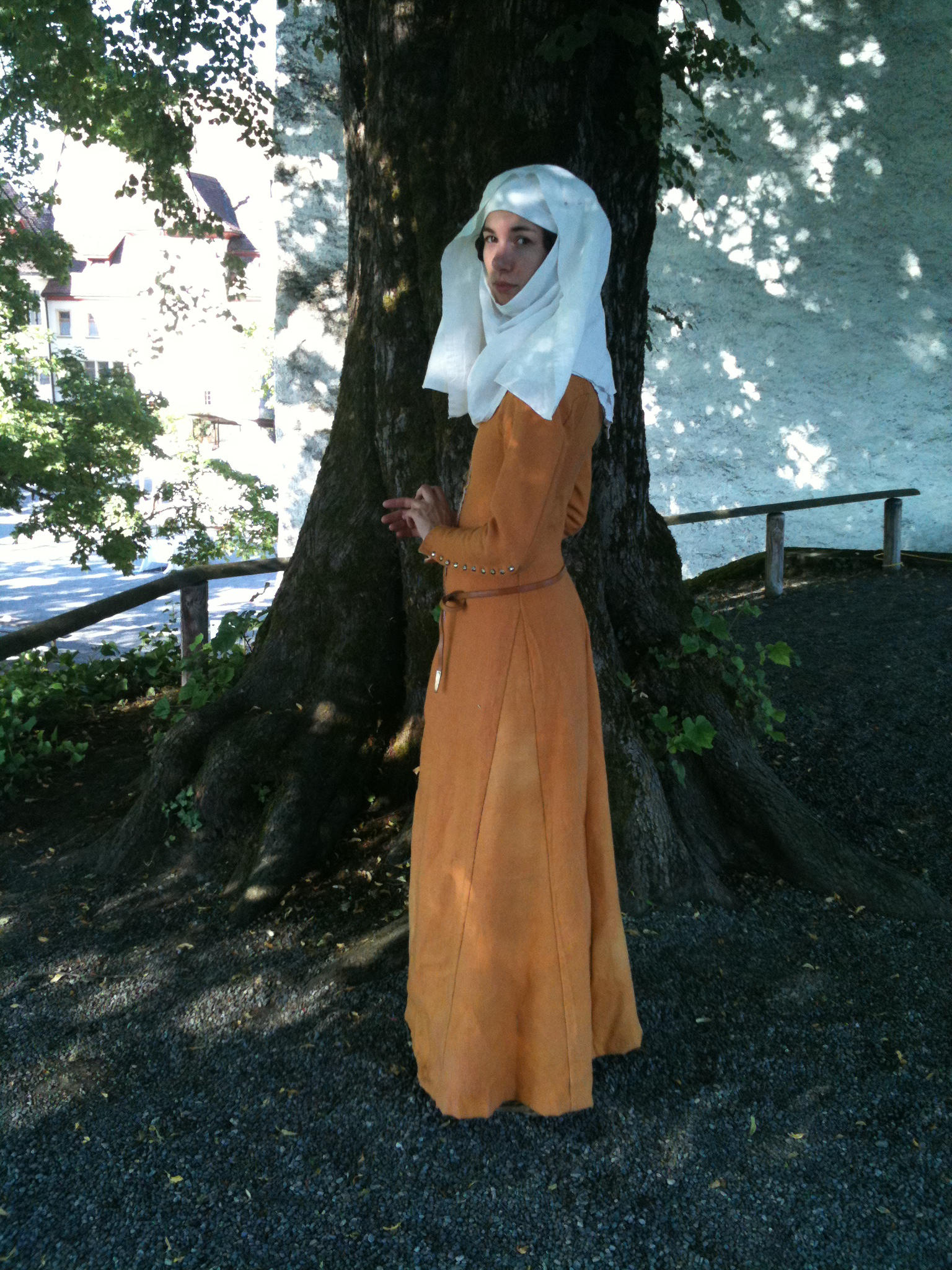 Lenzburg July 2010 by Fiofiorina