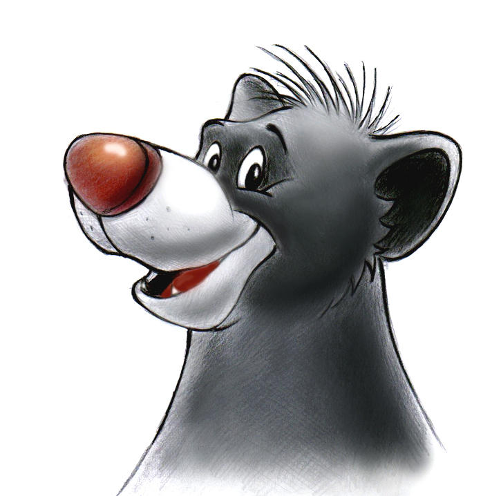 Baloo by zdrer456 on DeviantArt