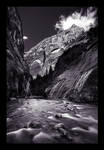 A Colossal Calamity by Notoriouscadi