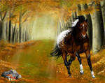Thru the Forest by Cristalhoof