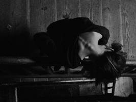 sunshine by mymadeleine