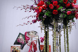 Splendor by Faded--Euphoria