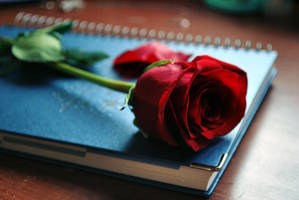 Remember .. by Faded--Euphoria