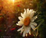 Enlighten Me by gold-rose