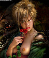 Draak's red rose by Sarima