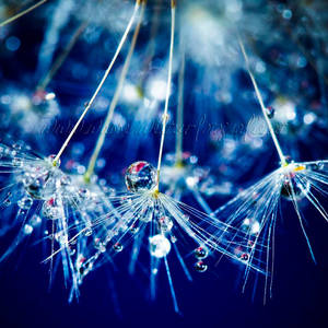 Sparkling blue by dansch Sparkling blue by dansch