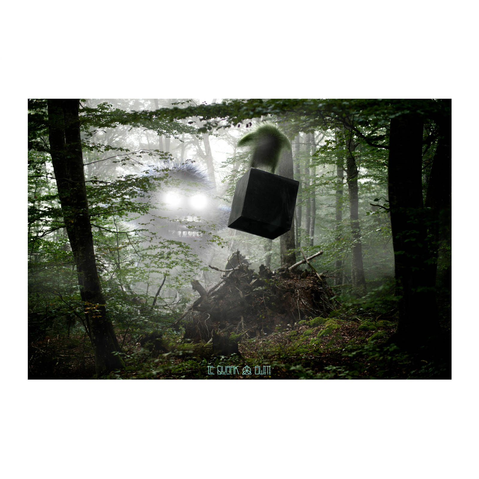 THE BAD CUBE by LEQUARK