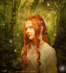 The Elf Princess by Le-Regard-des-Elfes
