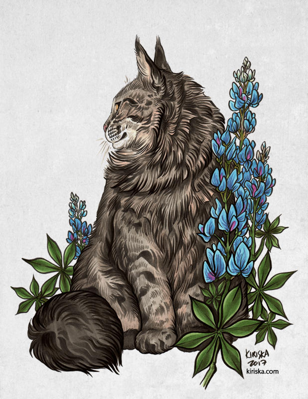 Bailey and Bluebonnets by Kiriska