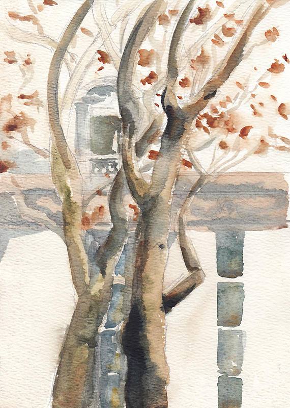 Bryant Park in December by emera