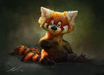 Red panda sketch with video by ailah
