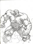 The Hulk by MannixFrancisco