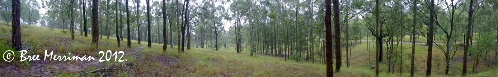 Panorama I by BreeSpawn