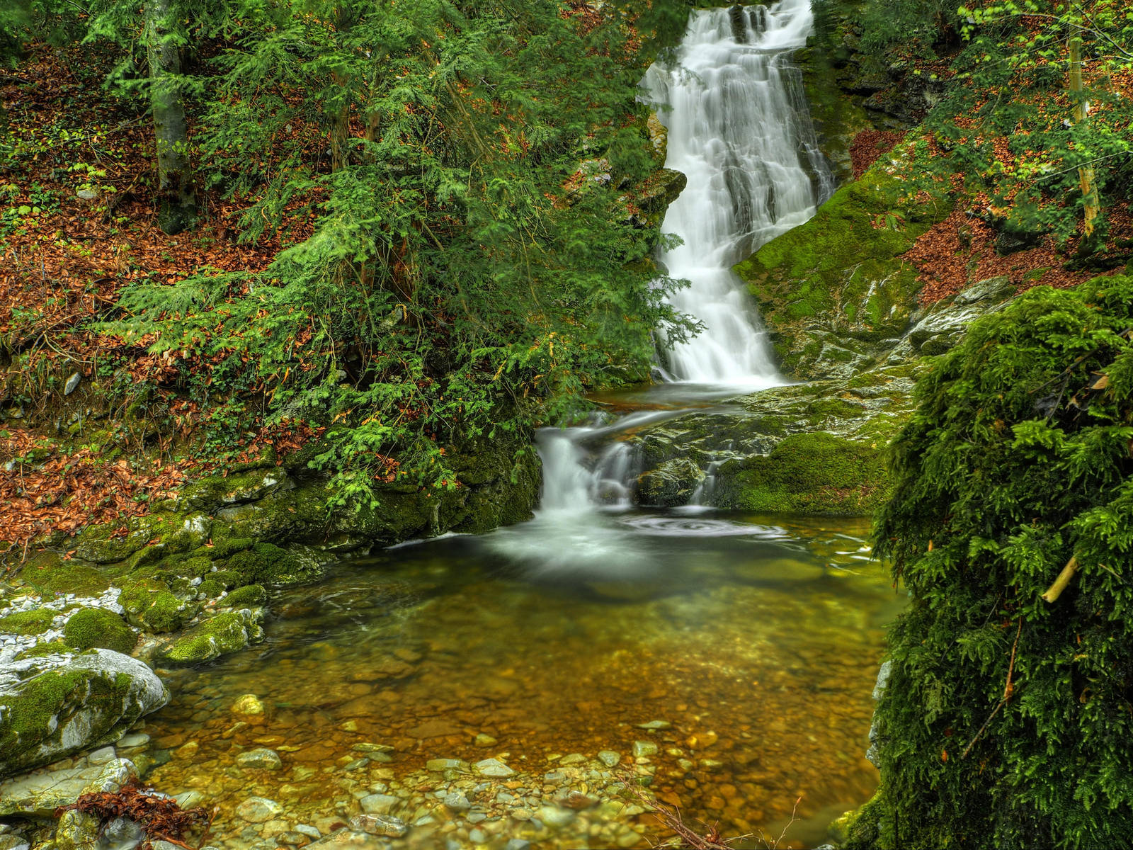 Hidden Water Background by Burtn