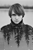 forest. by PandoraSelezneva