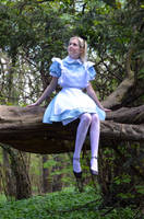 Alice in Wonderland by iDisneyx