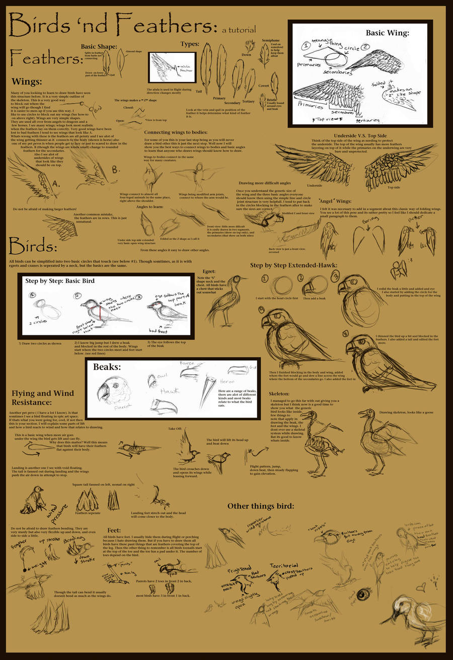 Tutorial: Bird and Feather by CreatTheCrow
