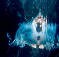 UW - Angel 1 by CristianaApostol