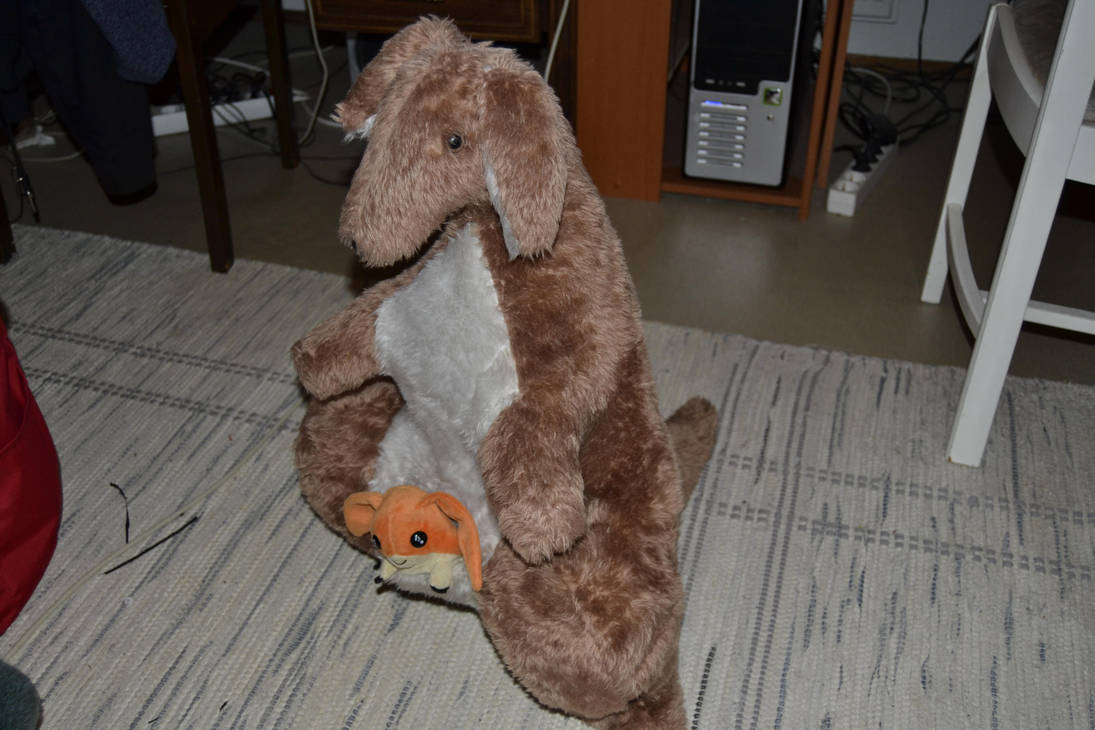 Kangaroo plush(with patamon plush in his pouch XD) by SoulFullOfSadness