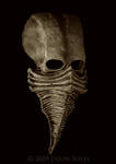 Excarnate mask by MrSoles