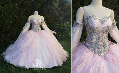 Champagne Pink Princess Gown by Firefly-Path