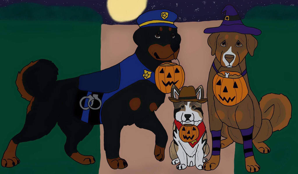 Trick or Treat by Waggintails-Rescue