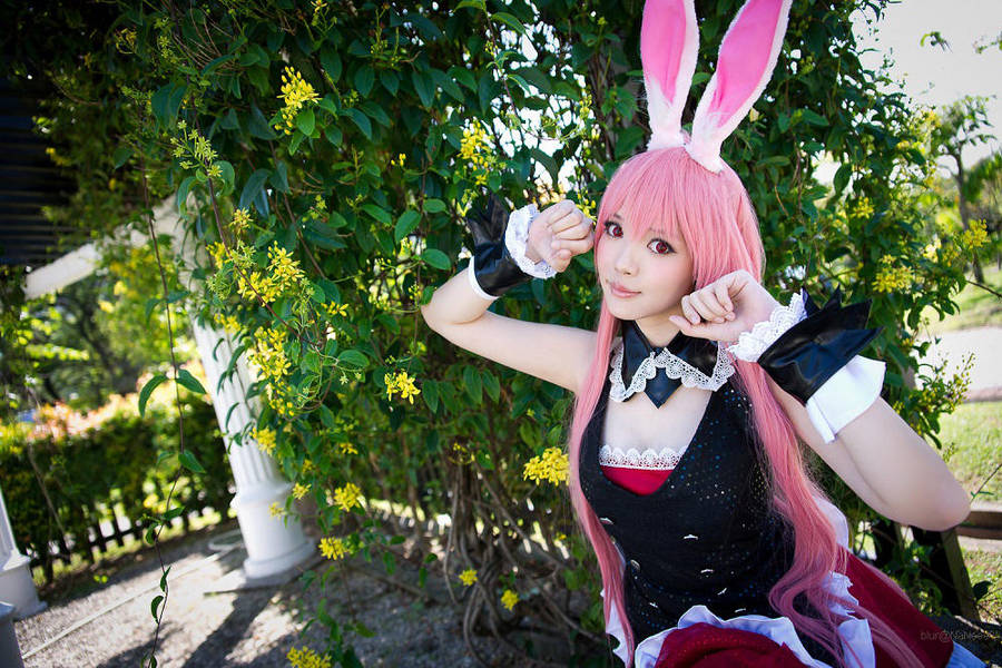 Kuro Usagi 01 By Yingtze On Deviantart