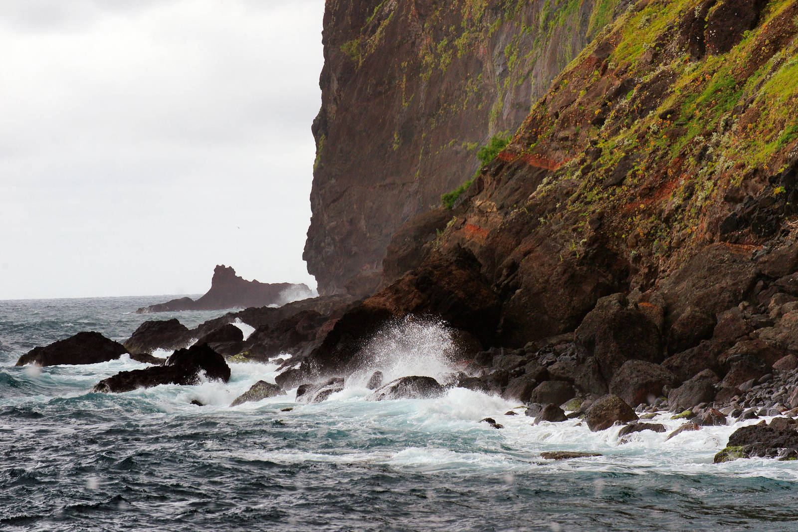 Cliffs of Madeira 8 by CitizenFresh