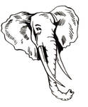 Elephant Head by D-Angeline