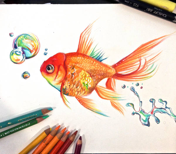 Rainbow Goldfish by Lucky978 on DeviantArt
