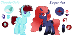 Cloudy Gale and Sugar Hex Reference Sheet ( by CupcakeEdits20