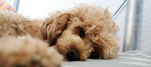 Good Night by crimsonfaded