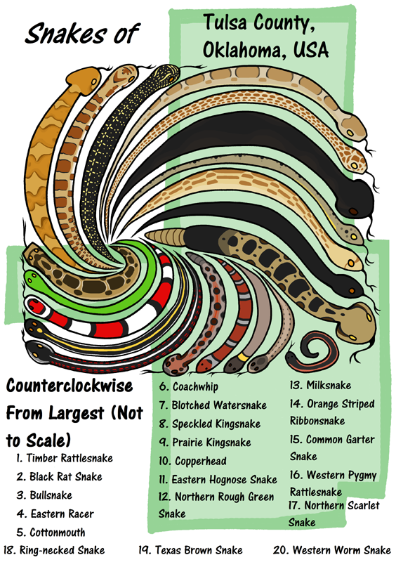 Snakes I Live With by Leonca