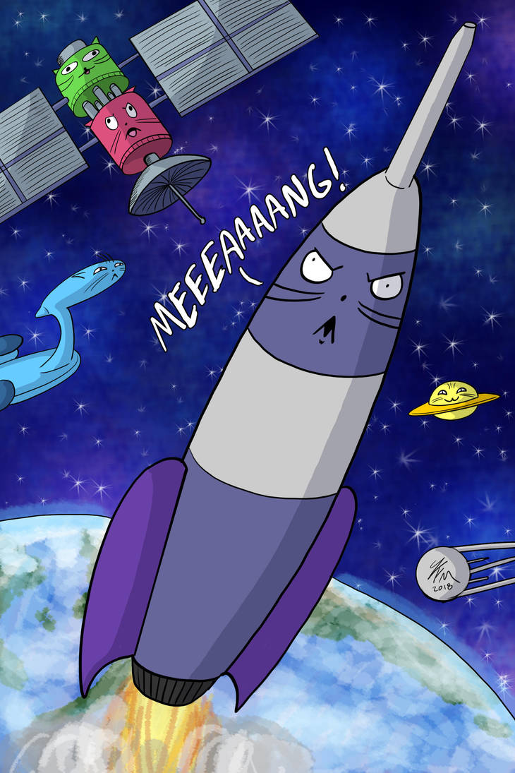 Crazy Cat Rocket by JFMstudios