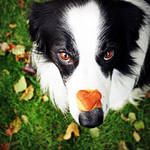 Have A Heart by micromeg