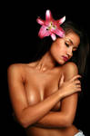 lilyDlight1 by Qubic2007