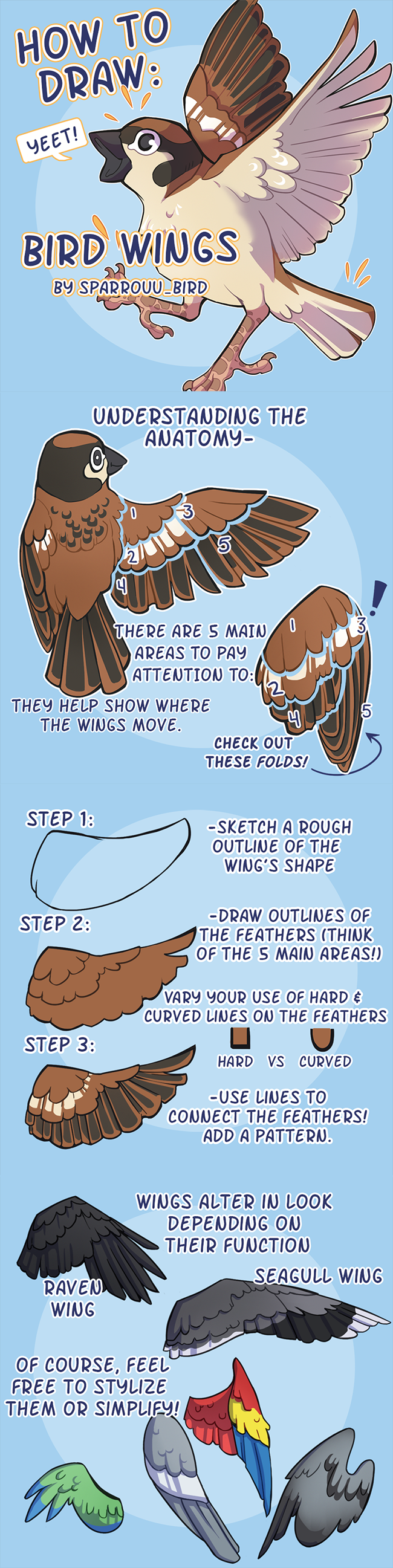 How to Draw Bird Wings by SPARROUU
