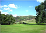 Scotland by moonlightbee