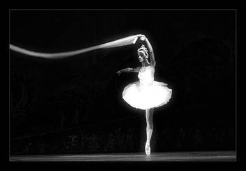 monochrome... by salihguler