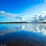 The Big Blue by engridearty