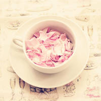 Cup of Roses by mayat-s
