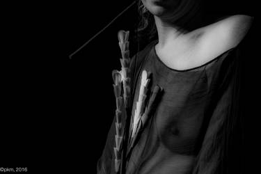 Shadows by PokerMenteur