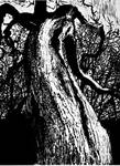 Big Tree finished by shaunsheep