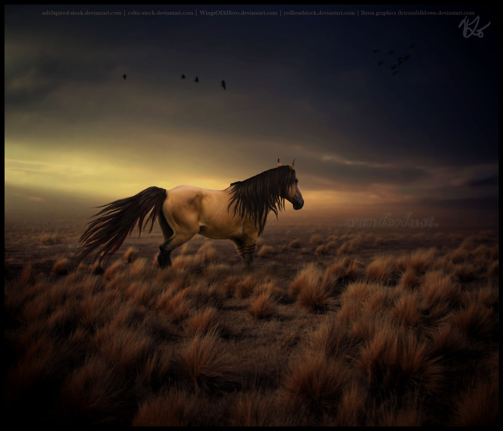 gift - wanderlust. by letrainfalldown